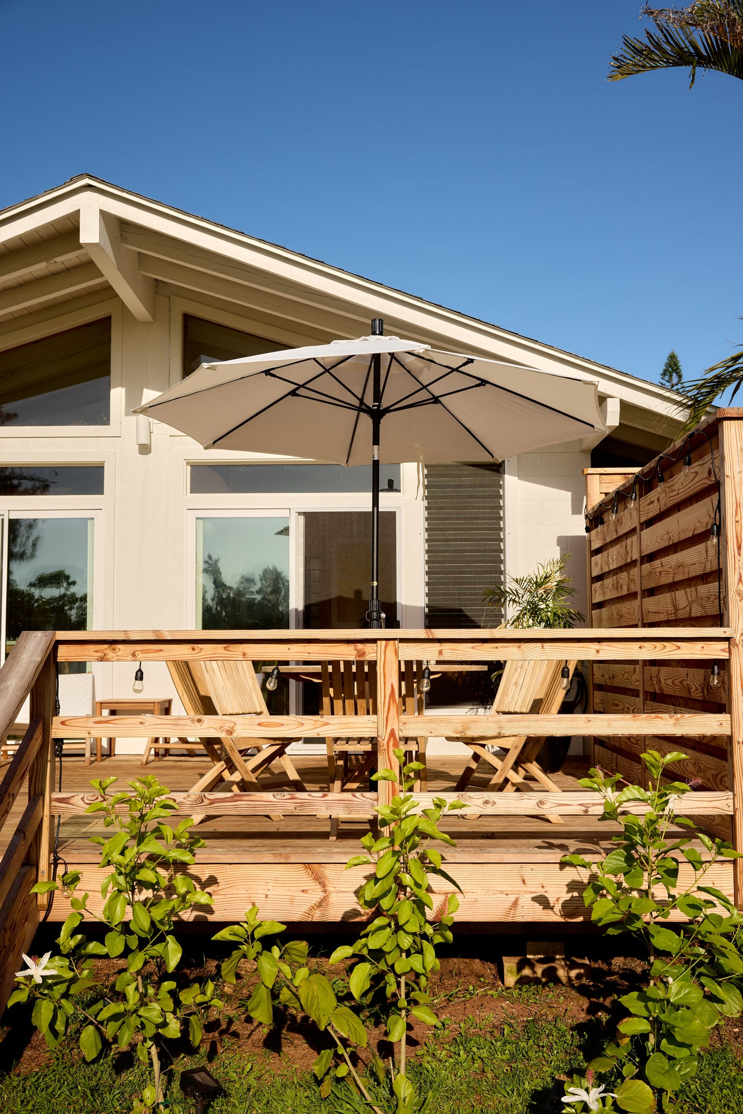 The Cedar House
