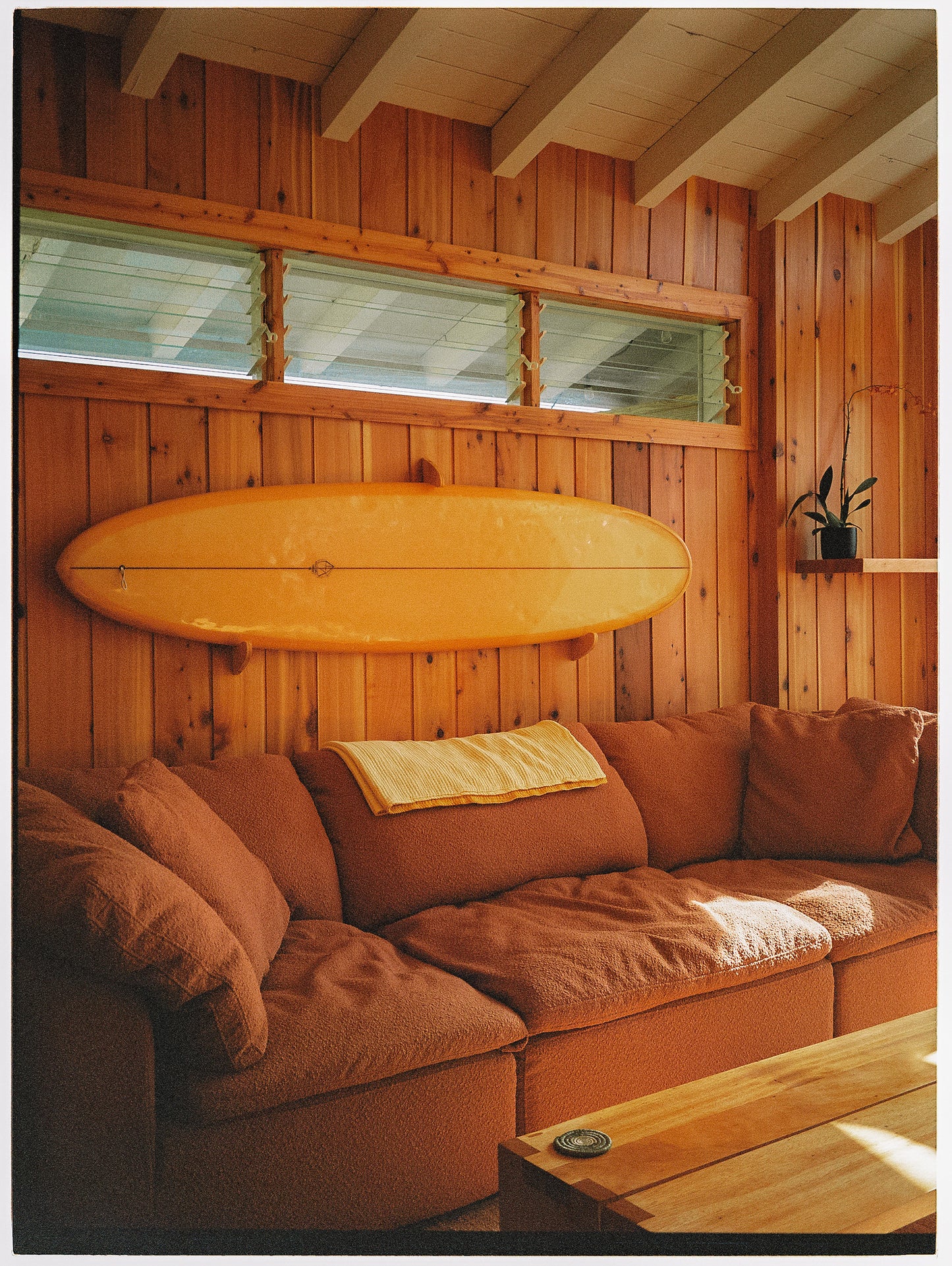The Cedar House