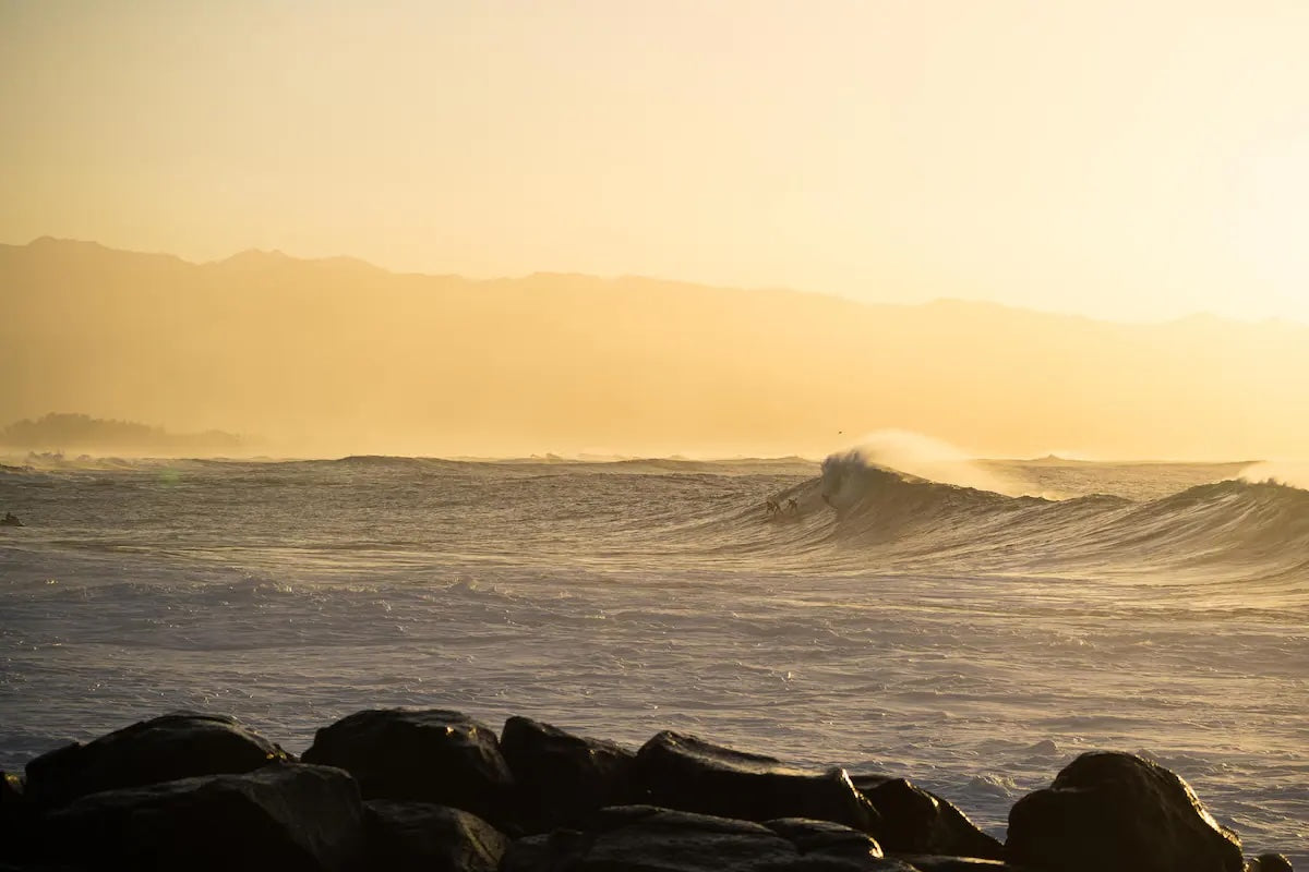 Aloha Surf Cabin