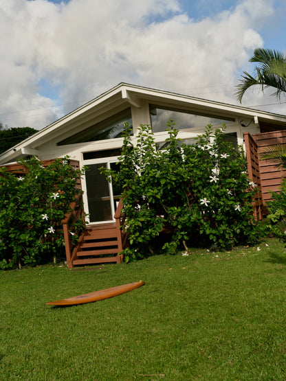 The Cedar House